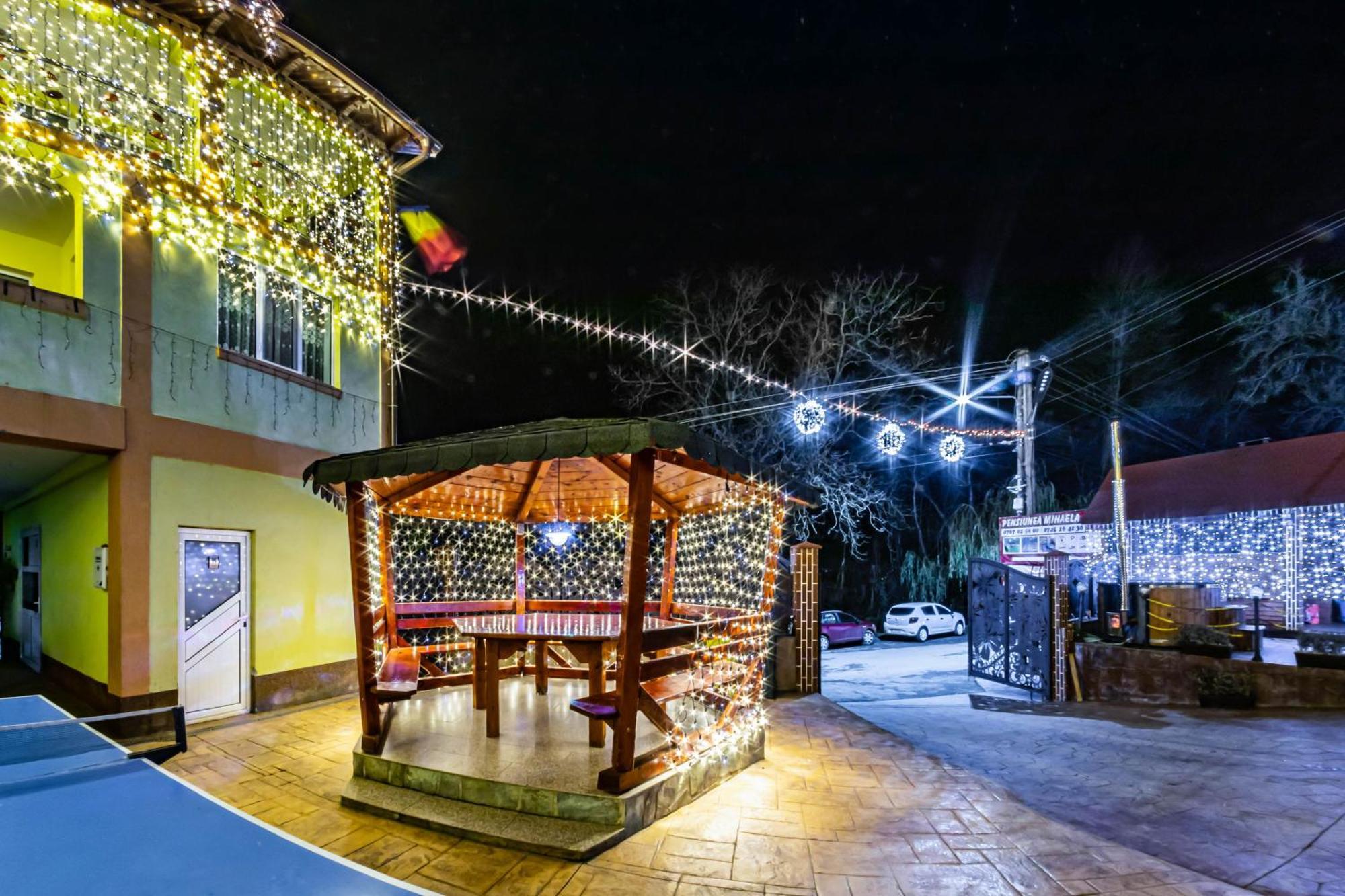 Pensiunea Mihaela-Transalpina Novaci-Străini Exterior photo