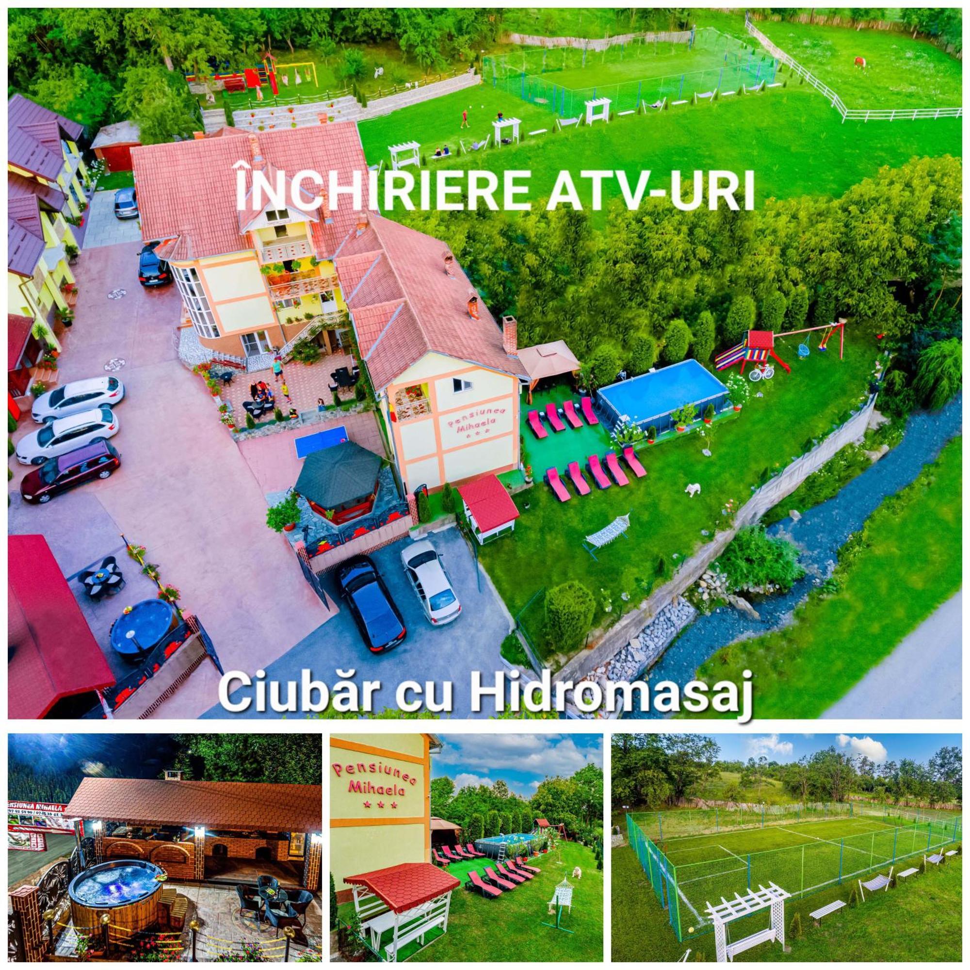 Pensiunea Mihaela-Transalpina Novaci-Străini Exterior photo