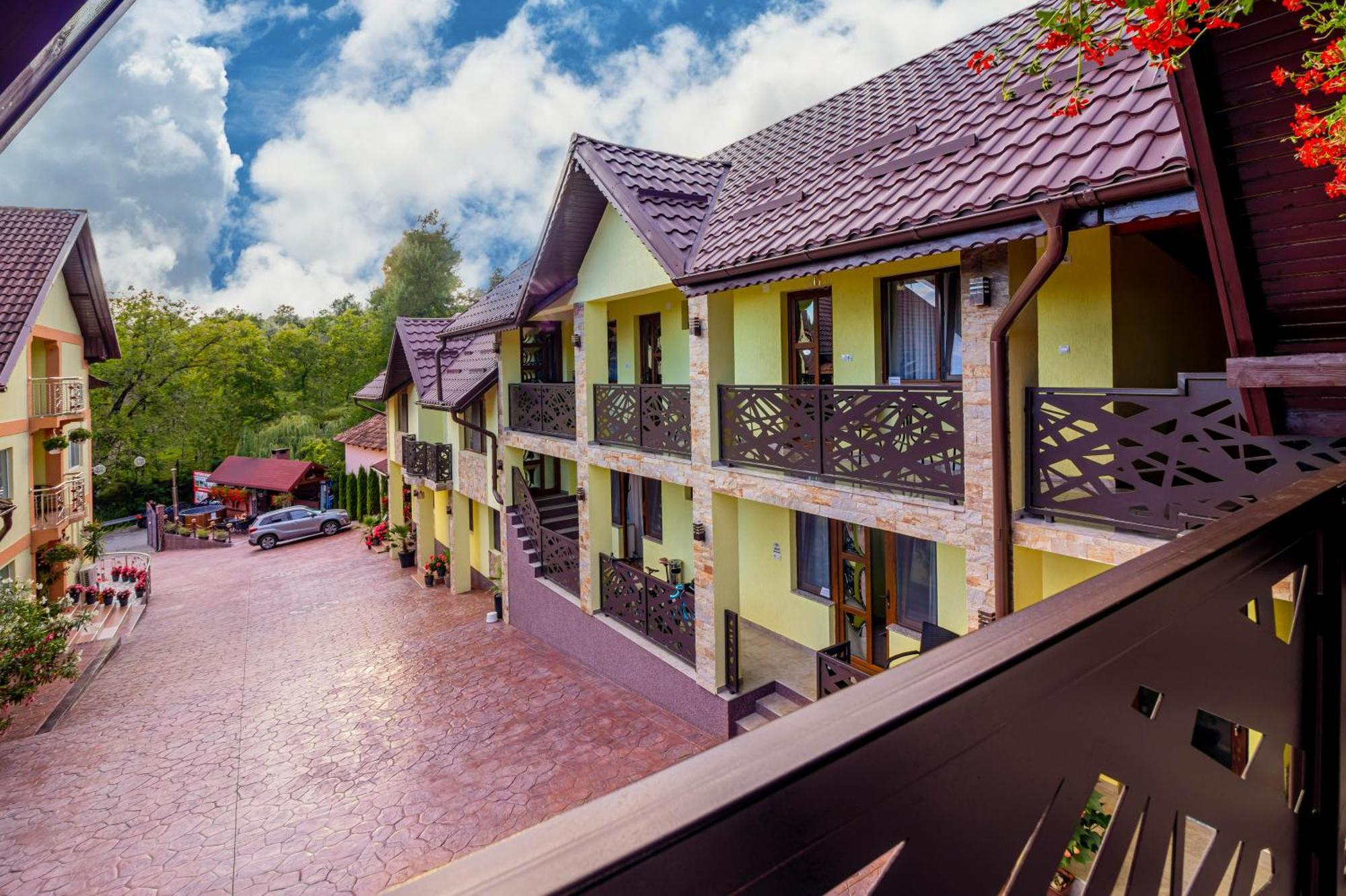 Pensiunea Mihaela-Transalpina Novaci-Străini Exterior photo
